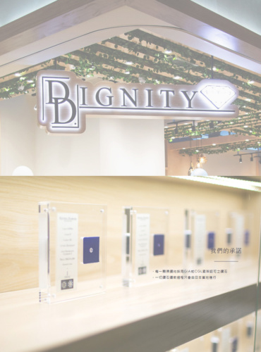 香港 Dignity D.